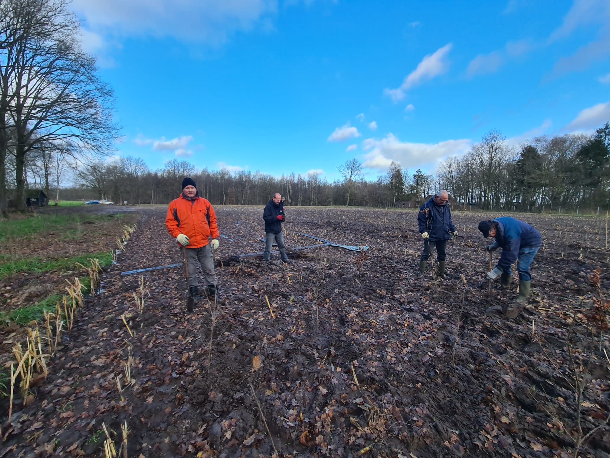 De plantdag in december 2024