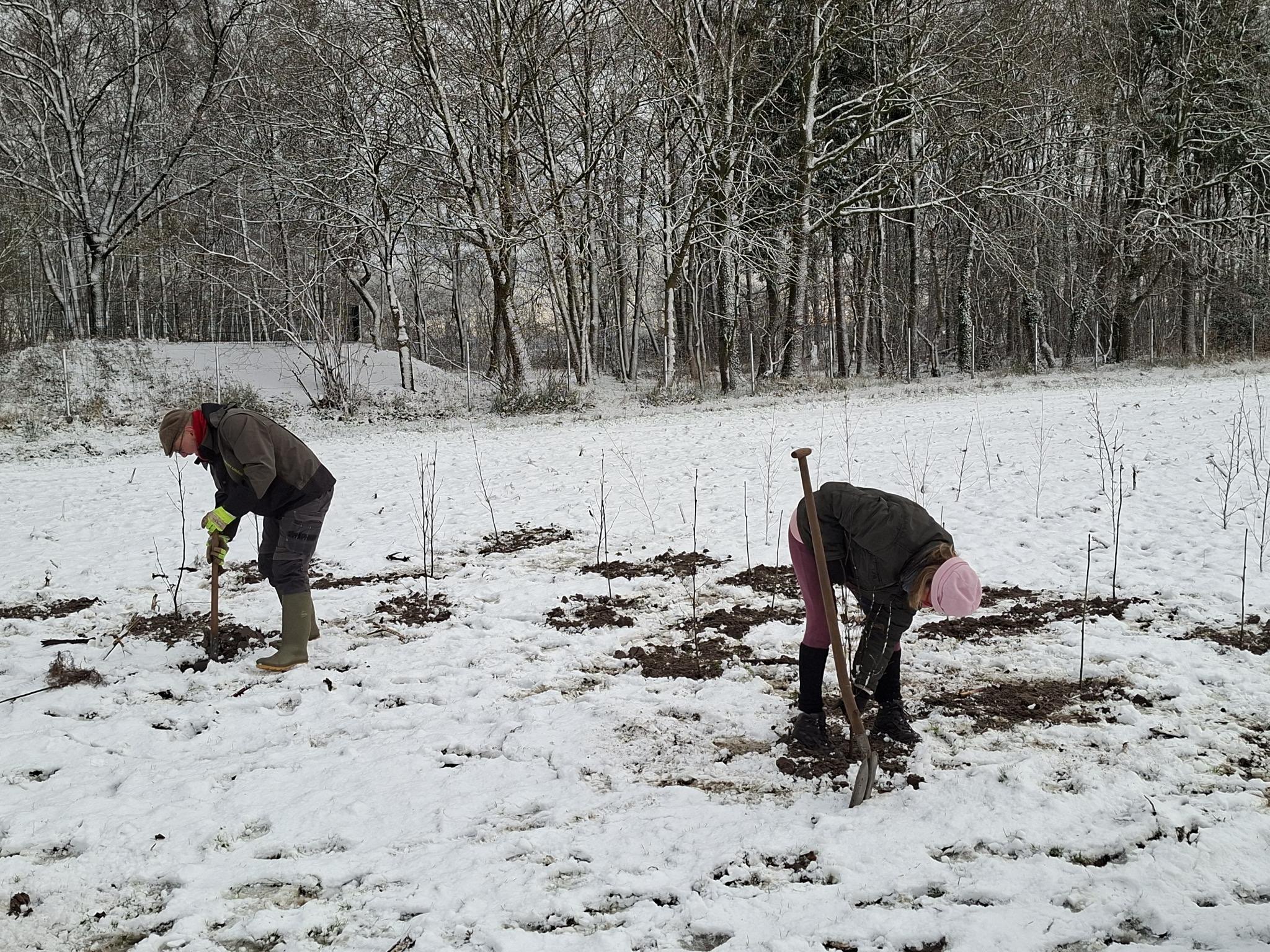 Witte plantdag op 3 januari en donatie Medice B.V.